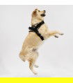 Pettorina Anatomica e Regolabile Village per Cani - 4